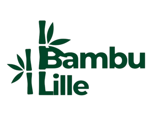 Vi i Lille Bambu er stolte av å tilby håndlagde produkter laget av 100 % naturlig bambus. Våre produkter kombinerer estetikk, funksjonalitet og bærekraft.   